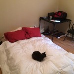 The kitties hanging out on the air mattress. 