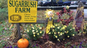 Sugarbush Farm