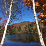 Scenery along VT 100