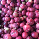 Apples at Cold Hollow Cider Mill