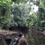 Paddling along the stream