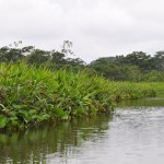 Lake Challuacocha