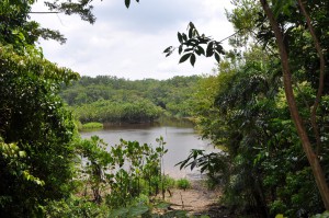 Lunch View from the Sani Lodge