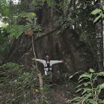 Curtis and the Kapok Tree