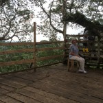 Kathy in the Kapok Tree