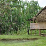 Kichwa House and Fish Pond