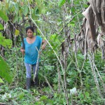 Precila Harvesting Manioc (Yuca Tubers)