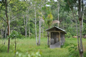 Charming Wooden Bridge Over The Pasture Creek