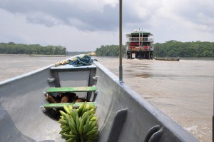 Arriving Back at The Manatee with our Manioc, Plantains and Sugar Cane