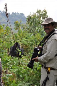 Curtis with the Gorillas