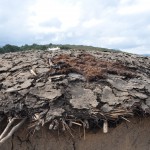 Closeup of a roof, with an animal skin