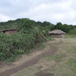 The outside fence and the slaughter house