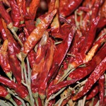 Dried Paprika Peppers
