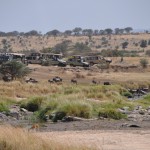 Tourists watching the crossings